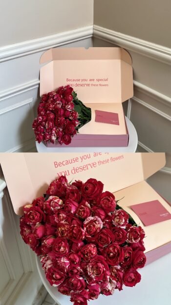 قاردن روز  / Garden Spray Rose La Parisienne