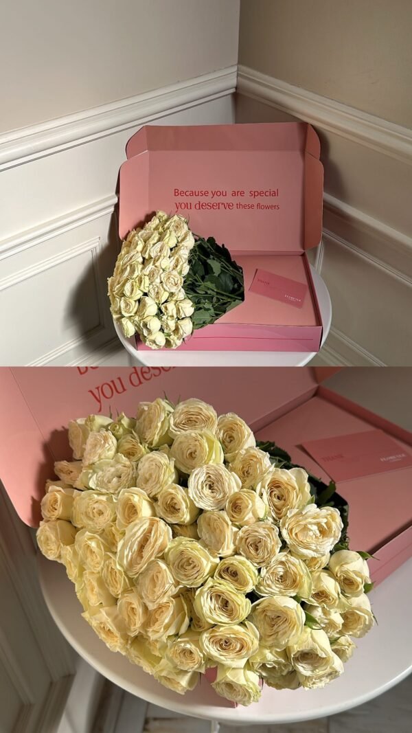 بوكس ورد سبري روز /  Spray Rose Sandy Coast