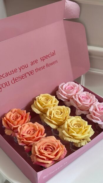 بوكس توزيعات