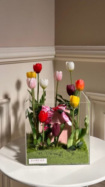 بوكس اكريلك توليب + تشوكلت ( بستاني )