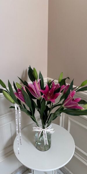 فازة ليليوم بينك