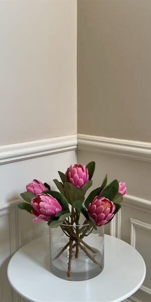 بوكيه بوتيا