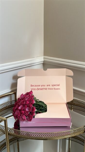 بوكس ورد ( تسليم فوري )