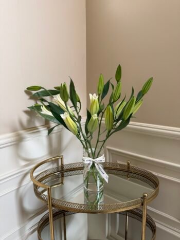 فازة ليليوم